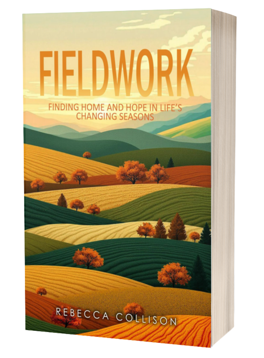 Fieldwork by Rebecca Collison